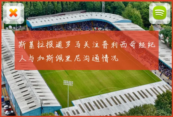 斯基拉报道罗马关注普利西奇经纪人与加斯佩里尼沟通情况
